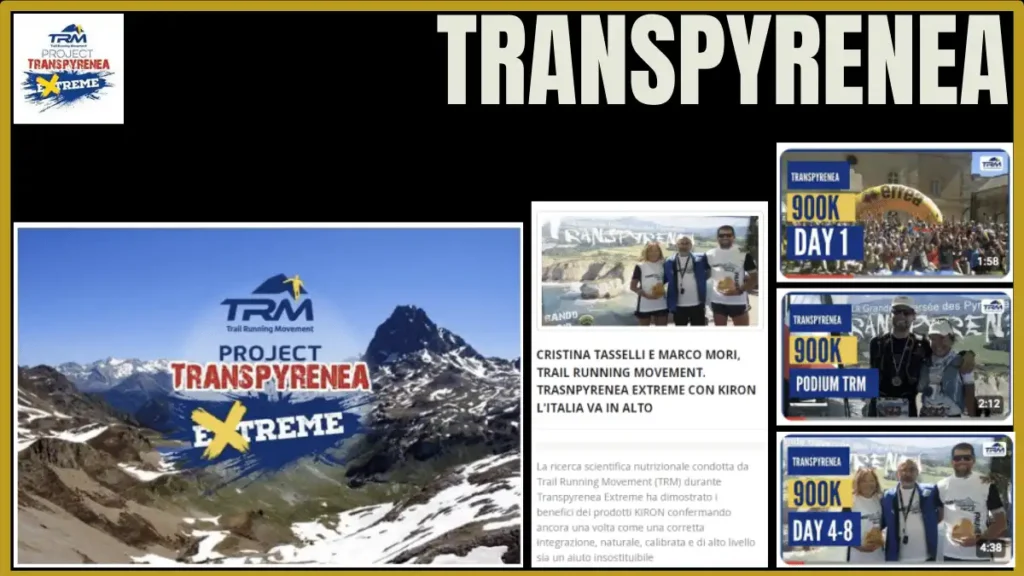Transpyrenea-Azienda-di-Successo-Ricerca-Scientifica-Digital-Marketing-Transformation-Italia