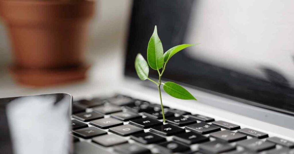 Sostenibilità digital advertising pmi 2025